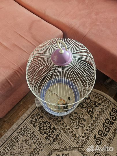 Клетка для птиц