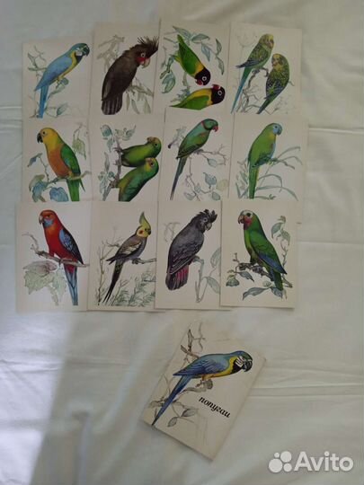 Открытки времён СССР