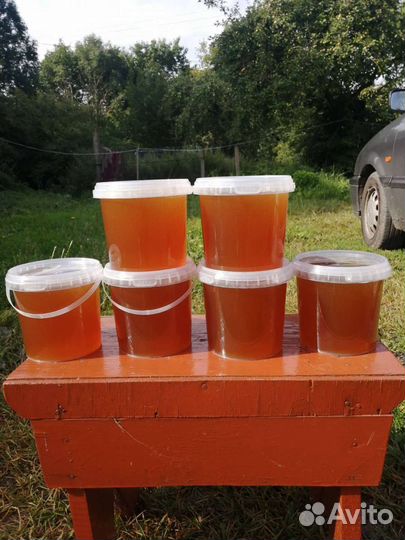 Мёд с собственной пасеки (Гусевский район)