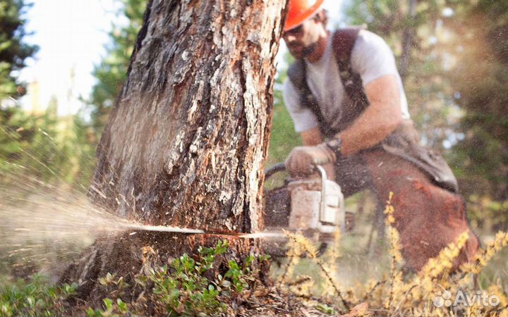 Кронирование, спил деревьев, кустарников дробилка