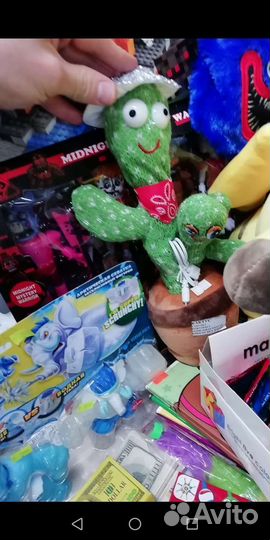 Кактус повторюшка