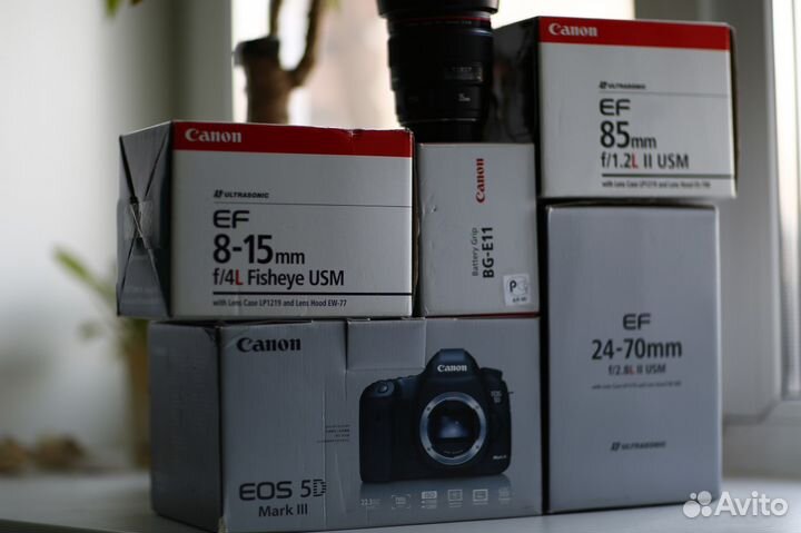 Canon EF 24-70 mm f/2.8L ll