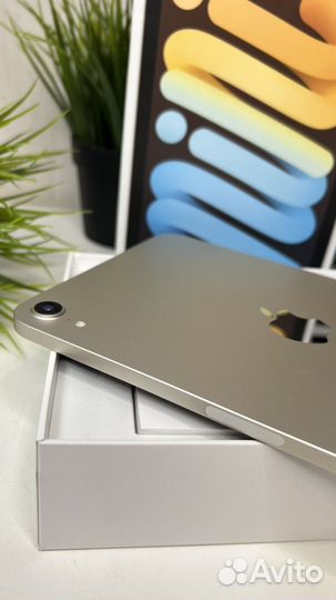 Apple iPad Mini 6 64Gb WiFi Starlight акб 100
