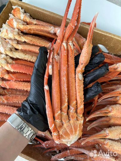 Сахалинские клешни краба стригуна