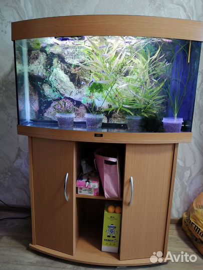 Продам аквариумы