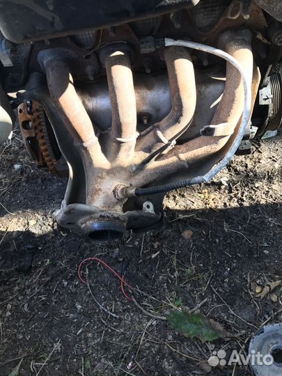 Меган 3 Флюенс коллектор выпускной