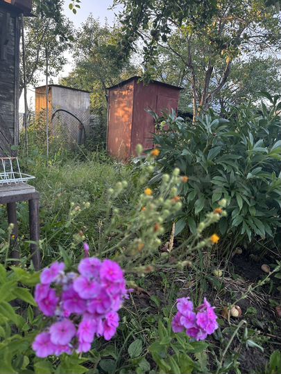 Дача 40 м² на участке 10,5 сот.