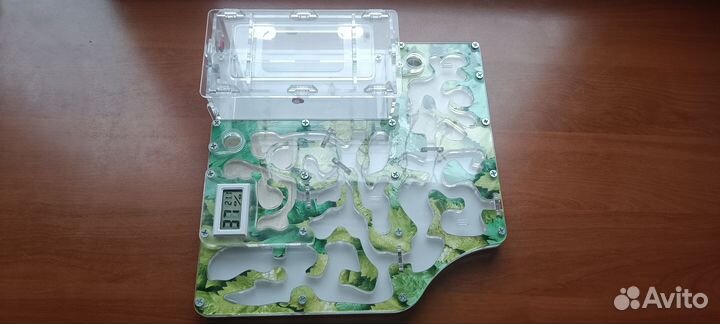 Муравьиная ферма Макси