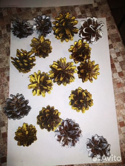 Шишки сосновые для декора любых цветов