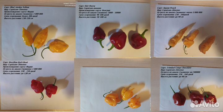 Семена и плоды острых и супер острых перцев