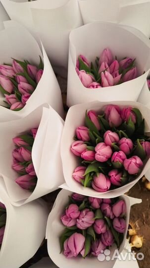 Тюльпаны в наличии к 14 февраля