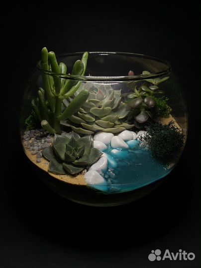 Флорариум с водоемом и растениями