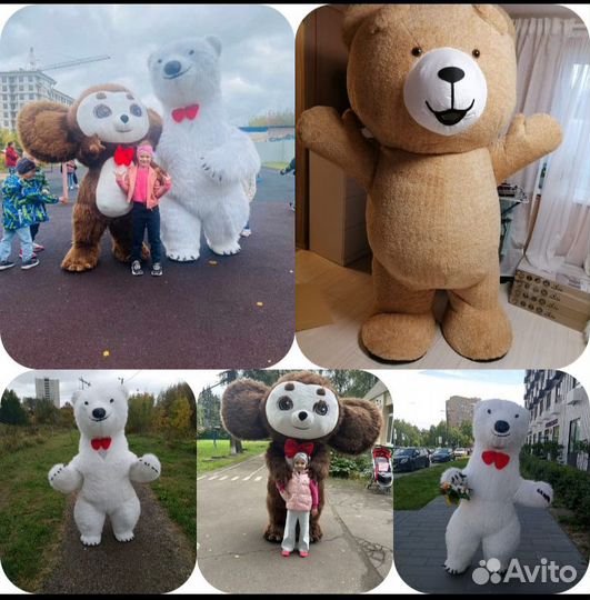 Белый мишка Стиляга, Чебурашка, Мишка из тик тока