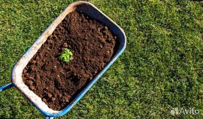 Грунт рязанский,тульский, воронежский