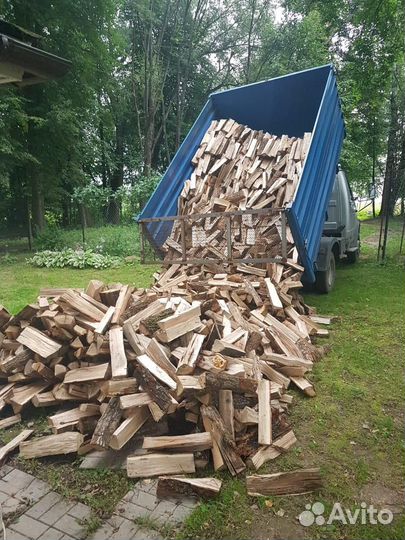 Дрова береза