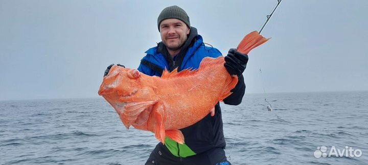 Морская рыбалка на камчатке