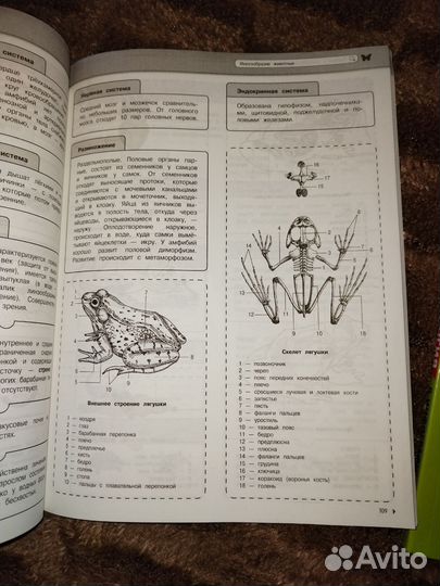 Биология егэ огэ справочник