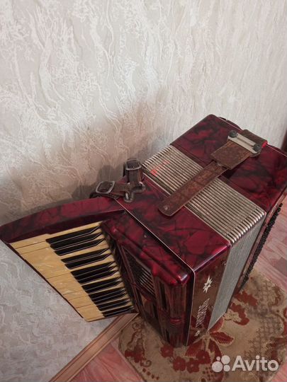 Аккордеон 