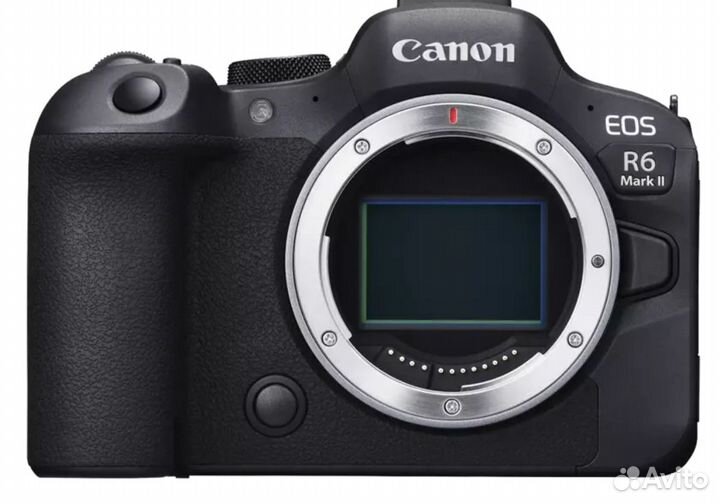 Canon EOS R6 Mark II Body + Canon Mount Adapter EF