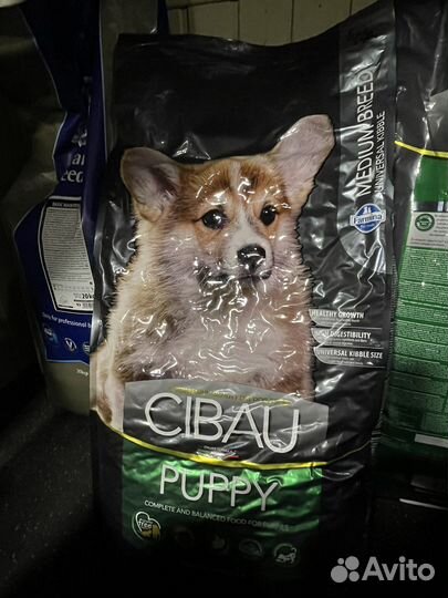 Корм для собак