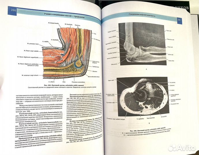 Атлас анатомии человека 2023
