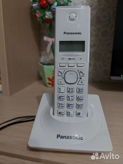 Panasonic