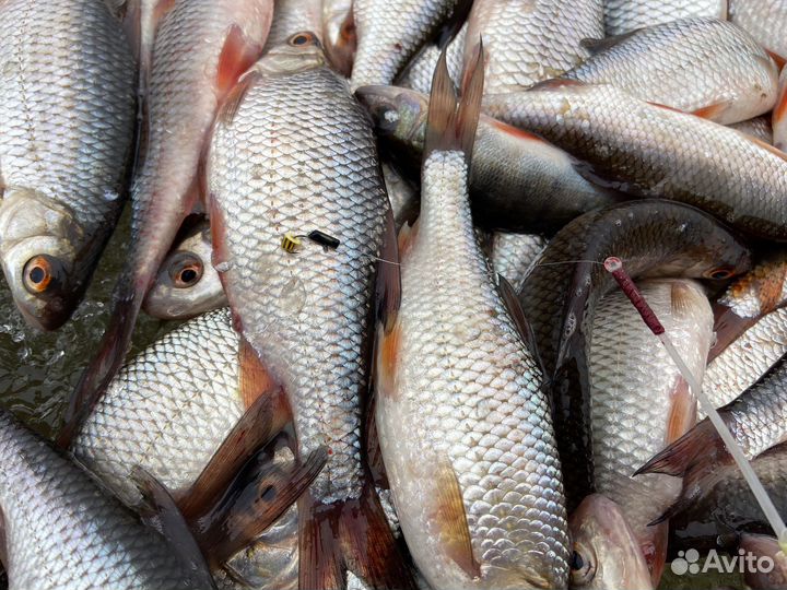 Мормышка желтый столбик