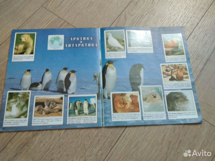 Журнал Мир Животных panini