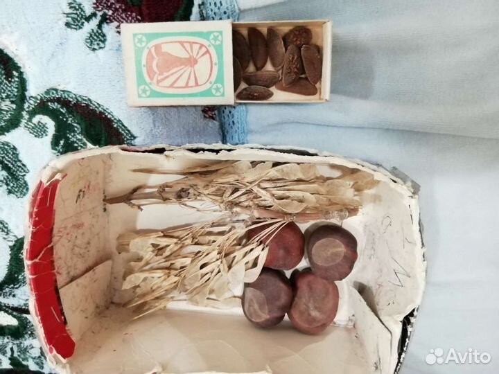 Природные материалы - шишки, каштаны