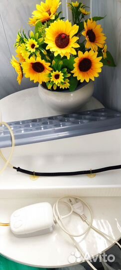 Гидропоника, Луковое Счастье