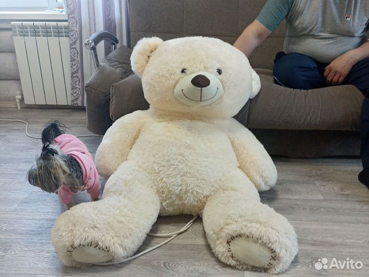 Плюшевый медведь