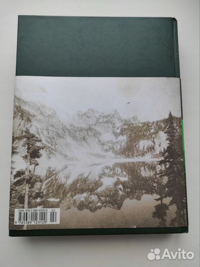 Тайная история twin пикс