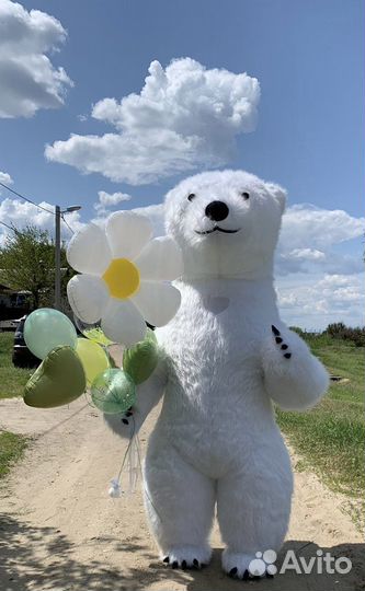 Экспресс поздравление, ростовая кукла,медведь