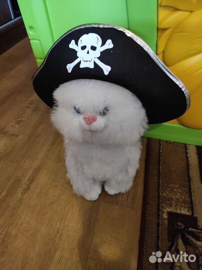 Большой кот