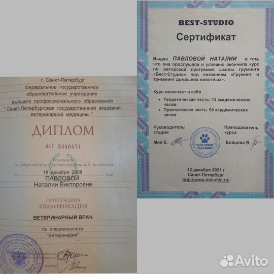 Грумер. Стрижка животных