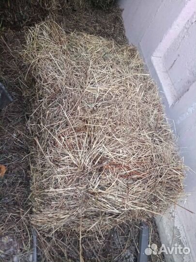 Сено в тюках 18-25кг