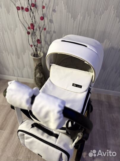 Коляска 2в1 Adamex Paolo