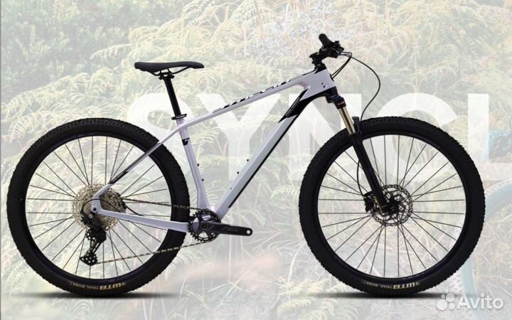 Горный Polygon Syncline C2 29 2022