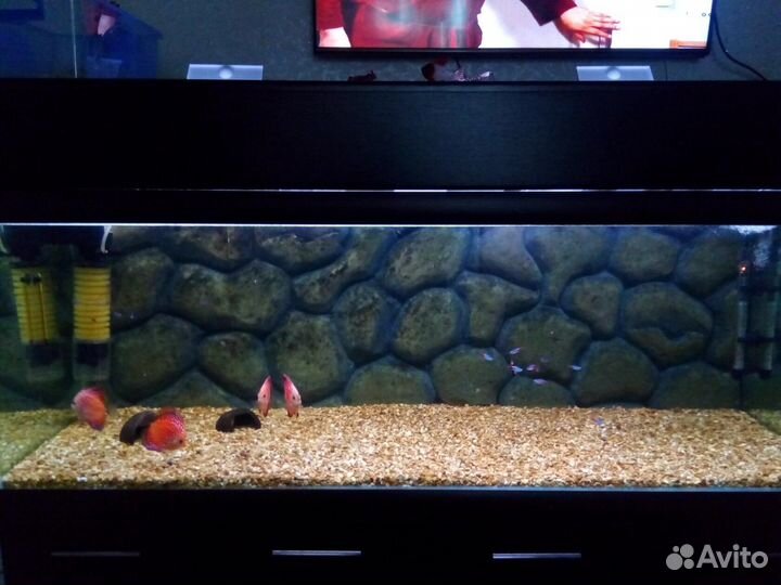 Аквариум