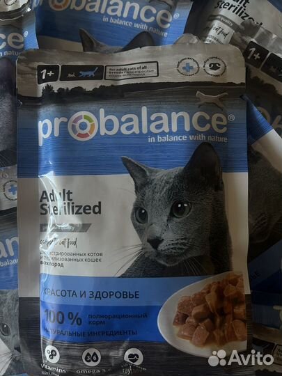 Влажный корм для кошек