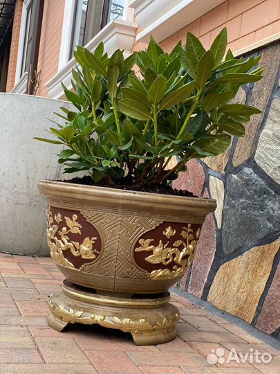 Горшок Ваза