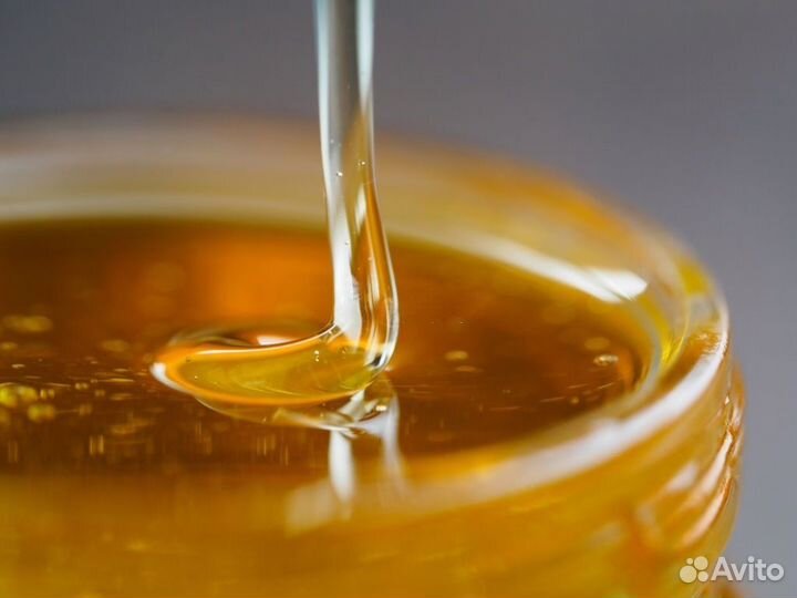 Мёд оптом образцы бесплатно