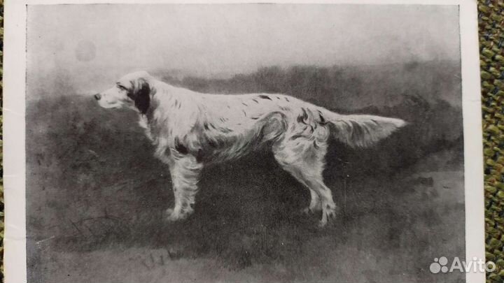 Открытки СССР. Наборы открыток