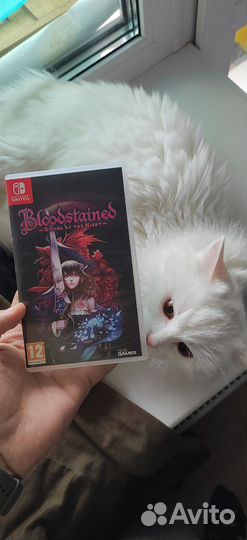 Bloodstained ritual of the night Nintendo switch