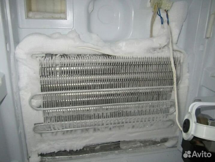 Ремонт холодильников и посудомоечных машин