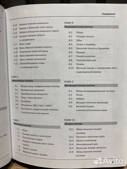 Атлас неттера