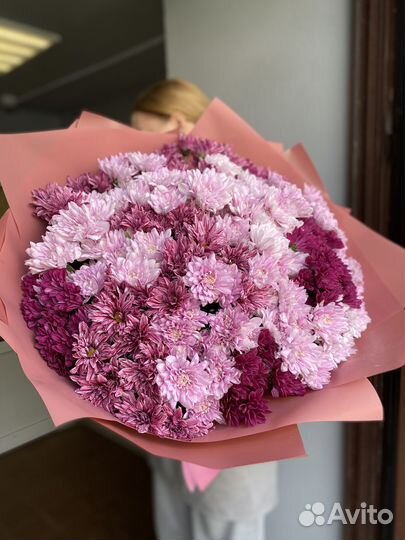 Хризантема кустовая