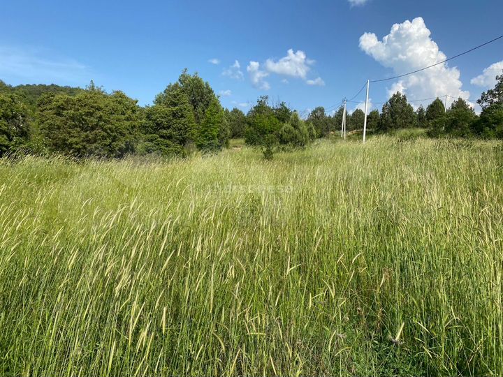 Участок 9 сот. (СНТ, ДНП)