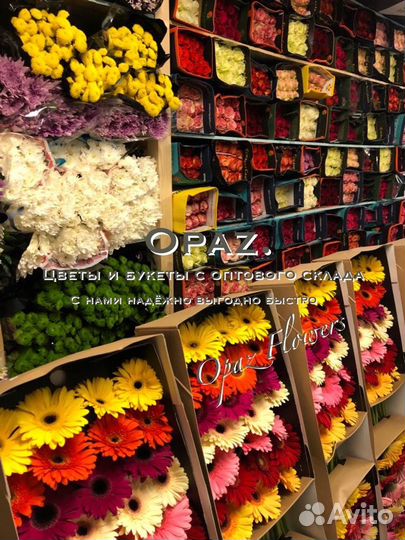 101 роза 70см Цветы Доставка