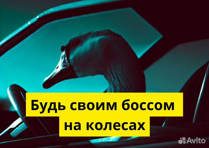 Ваш авто станет работой в Яндекс.Go